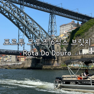 포르투 즐길거리 크루즈, 6개의 다리를 지나가는 Rota do Douro (ft. 요금, 소요시간)