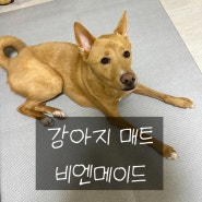 슬개골이 걱정된다면 강아지 매트 셀프 시공 필수 : 비엔메이드 무드매트