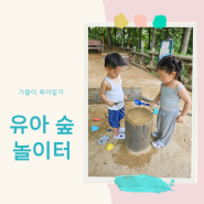 5살아이와 가볼만한곳 중랑구 숲놀이터 모래놀이 클라이밍 : 청남공원 유아숲체험원