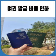 24년 7월부터 여권 발급비용이 인하됩니다! (여권 신분증 가능할까?)