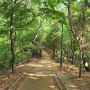 서울둘레길 코스7(일자산)을 걷다