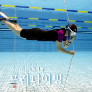 서울 프리다이빙 강습 블루페블 올림픽수영장 AIDA1 원데이 자격증