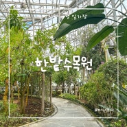 7월 국내 여행지 추천 대전 수국 명소 한밭수목원 열대식물원 동원 입장료 주차장 총정리