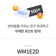 동물병원어플 인투펫 초대코드 WM1E2D