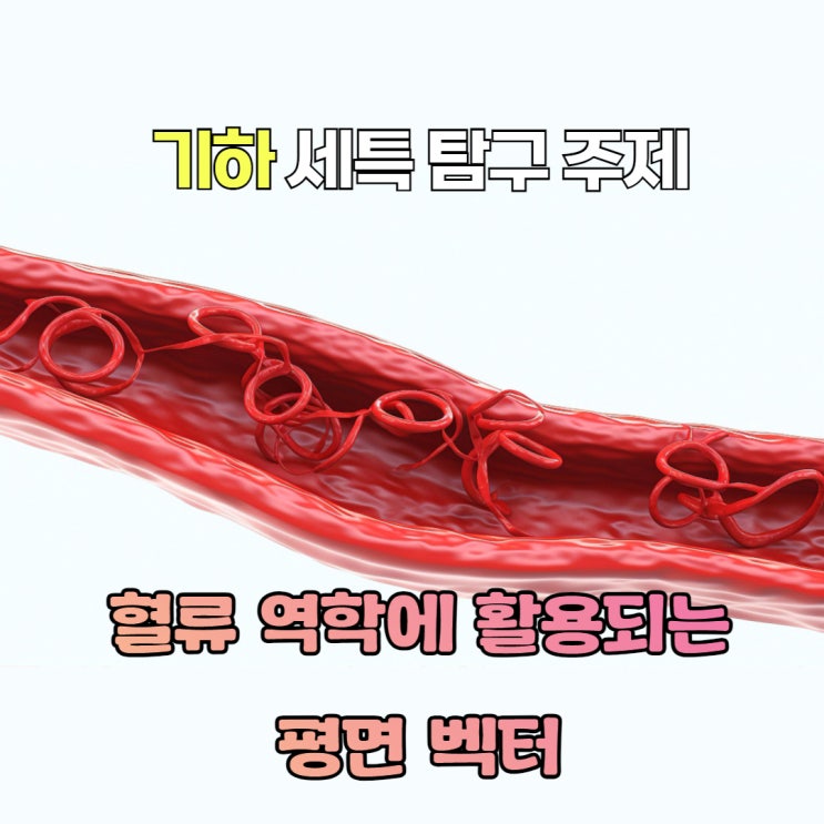 [의학 생명] 기하 세특 탐구 주제 - 혈류 역학에 활용되는 평면 벡터 : 네이버 블로그