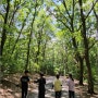 자유로운 아이들 더 자유롭게 만나는 숲(6월16일 광명 숲체험)