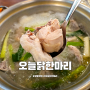 향동 맛집 오늘닭한마리 칼국수 고양시 몸보신 가족 모임 추천