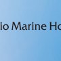 도쿄해상(Tokio Marine Holdings)-일본 4대 손해보험사 정책보유주 매각에서 기회를 찾아보자