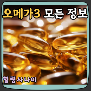 오메가3 효능 식물성 초임계 알티지 추천, RTG 최적의 섭취시간