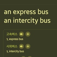 고속버스 시외버스 영어로 express intercity bus_부산에서 대구 고속버스 예매 방법