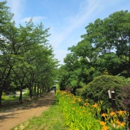 오늘도 인천대공원 수목원에 다녀 왔어요^^