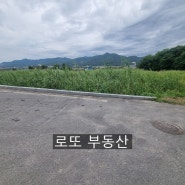 전주시 원당동 창고시설200평 인허가 완료된 토지매매(1100평)