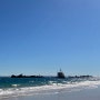 호주 여행기 - 16) 브리즈번 여행 / 모튼 섬(Moreton Island) 자유여행, 탕갈루마 비치, 탕갈루마 난파선 산책