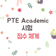 PTE Academic 점수 체계와 채점 방식과 기준, 점수대별 영어 실력