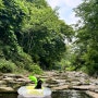 네오핏 강아지튜브 계곡 물놀이 추천 꾹
