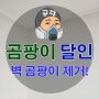 벽 곰팡이 제거 체계적인 전략과 방법