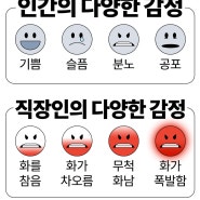 뼈케터의 분노