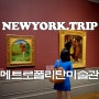 뉴욕 여행 메트로폴리탄 미술관 입장권 정보 도슨트 투어
