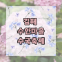 [김해]수안마을 수국축제