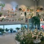 [내돈내산] 송트리타임콜라주 광주 카페 추천 : 예쁜 식물들과 편안한 노래를 즐길 수 있는 여유로운 카페