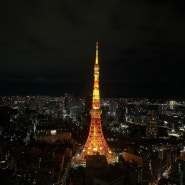 도쿄 아자부다이힐스 전망대 도쿄타워 포토스팟 야경 명소, 나만의 포토존 공개