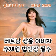 베트남 주재원 발령 상용 이비자 기간 90일 무비자 블랙리스트 입국거절