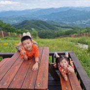 휘닉스 파크 평창 1박 2일 알찬 코스(루지, 곤돌라, 상상놀이터, 온담, 블루캐니언)