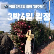 제주도여행 3박 4일 간의 일정 정리 및 비용