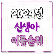 2024년 신생아 이름 순위 1~20위 (작명, 이름짓기, 아기이름)