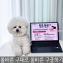 오구오구 캠페인으로 강아지 구충제 심장사상충약 올바르게 급여해요!