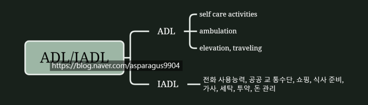 노인의학 일상생활 수행능력 ADL IADL : 네이버 블로그