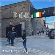 아일랜드 여행 더블린 가볼만한곳 기네스 맥주 박물관 가격 예약 방법 위치 및 스타우트 티켓 방문 후기