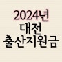 대전 출산지원금 출산축하금 출산혜택 알아보자 2024년