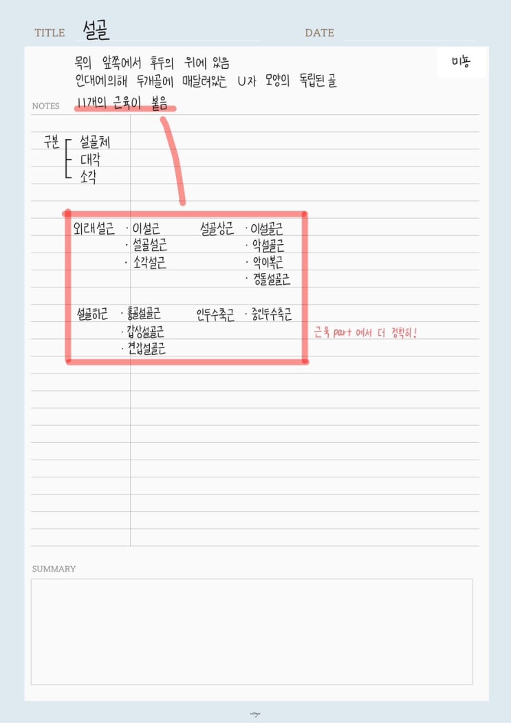 [구강해부학]설골 : 네이버 블로그