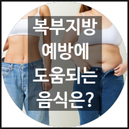 복부지방 예방에 도움되는 음식♬