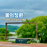 경기 남양주 물의 정원 양귀비 코스모스 산책 피크닉