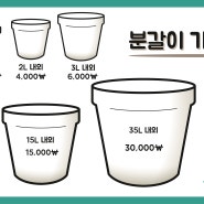 천안시산림조합에서 화분 분갈이해요