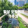 2024 일상 포토덤프 1주차 청계천 산책길 (feat. 애슐리 퀸즈)