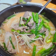 부산 돼지국밥 뽀얀 진국 학장동맛집 종가집돼지국밥