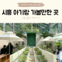 경기도 시흥 아기랑 가볼 만한 곳 산골식물원 카페