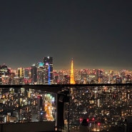 도쿄의 새로운 랜드마크 논베이 요코초 야경 핫플레이스 시부야스카이 SHIBUYA SKY를 가다