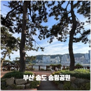 송도해수욕장 풍경이 한눈에, 송림공원