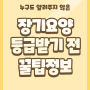 서울, 인천, 경기 노인장기요양, 재가, 시설 등급 받기 전, 알아두면 좋은 정보