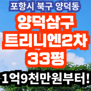 포항시 북구 양덕 삼구트리니엔 2차 아파트 32평 11층 경매 권리 분석 및 입찰가 분석!