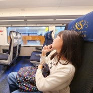 일본 도쿄 스카이라이너 메트로 지하철 패스권 구입 교환방법 스이카카드