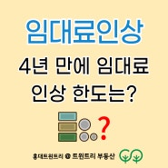 [상가임대차보호법] 묵시적 갱신, 4년 만에 임대료 인상 한도는? 홍대 베이커리, 커피전문점, 트윈트리 공인중개사