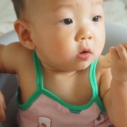 9개월 아기 간식 떡뻥 퓨어잇 롱스틱 & 쌀과자
