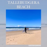 DAY-6 호주 여자혼자 여행, 고카드 충전방법, 골드코스트 서핑, Tallebudgera beach, Palm beach