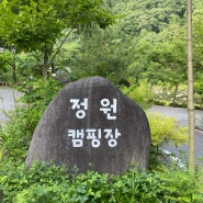 [ 영월 ] 아이들 놀기좋은 곳 정원 캠핑장 생맥주 맛집 캠핑장
