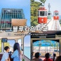 여름 부산 해운대 여행 블루라인파크 해변열차 스카이캡슐 특가 소식